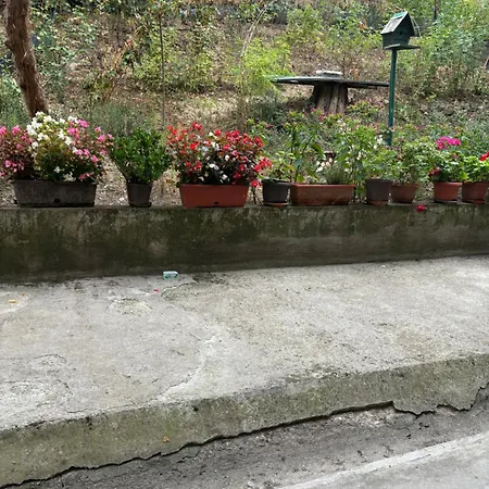 Tobias Tower Apartamento *